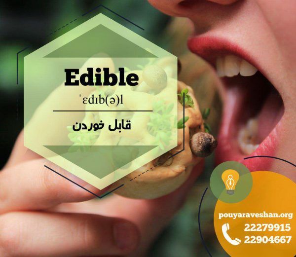 آکادمی پویاروشان - دکتر عطایی - Edible
