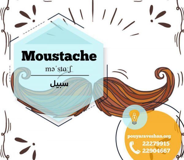 آکادمی پویاروشان - دکتر عطایی - Moustache