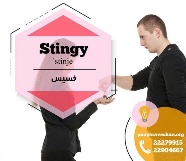 آکادمی پویاروشان - دکتر عطایی - Stingy (adj)
